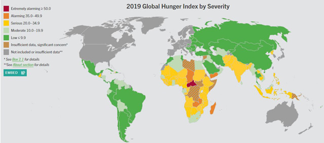 Global Hunger Index 2019 Report India