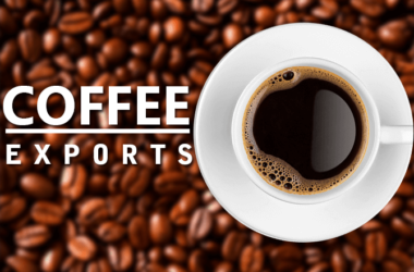 Italy - India’s Top Coffee Export Destination in 2019