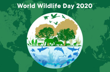 World Wildlife Day 2020