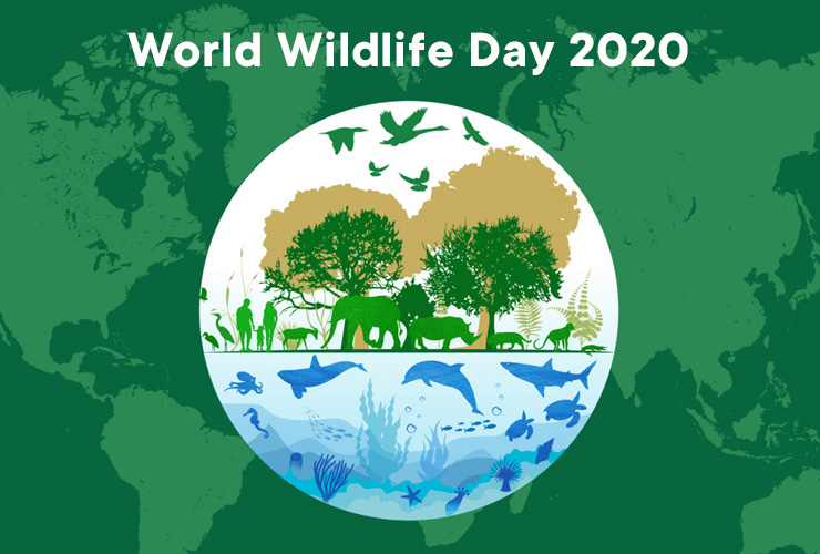 World Wildlife Day 2020: UN Calls for ‘Sustaining all life on Earth’!