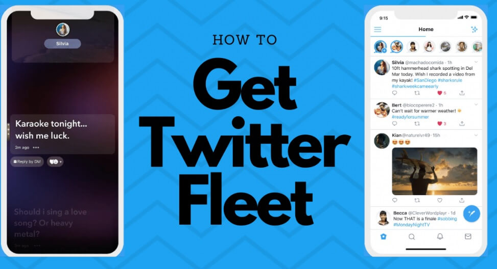 How ‘Twitter Fleets’ Work?